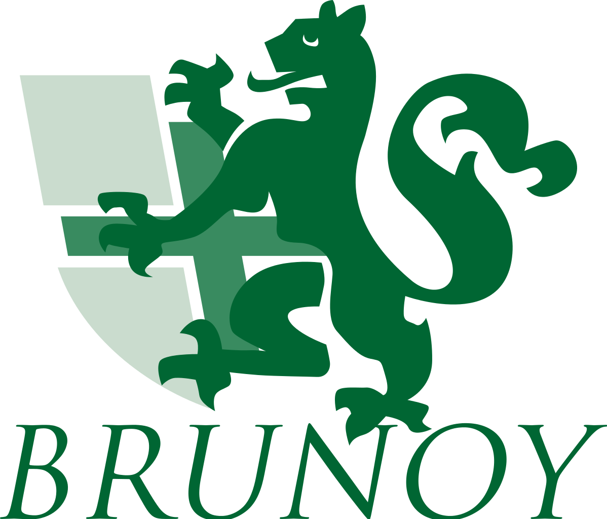 Logo Brunoy